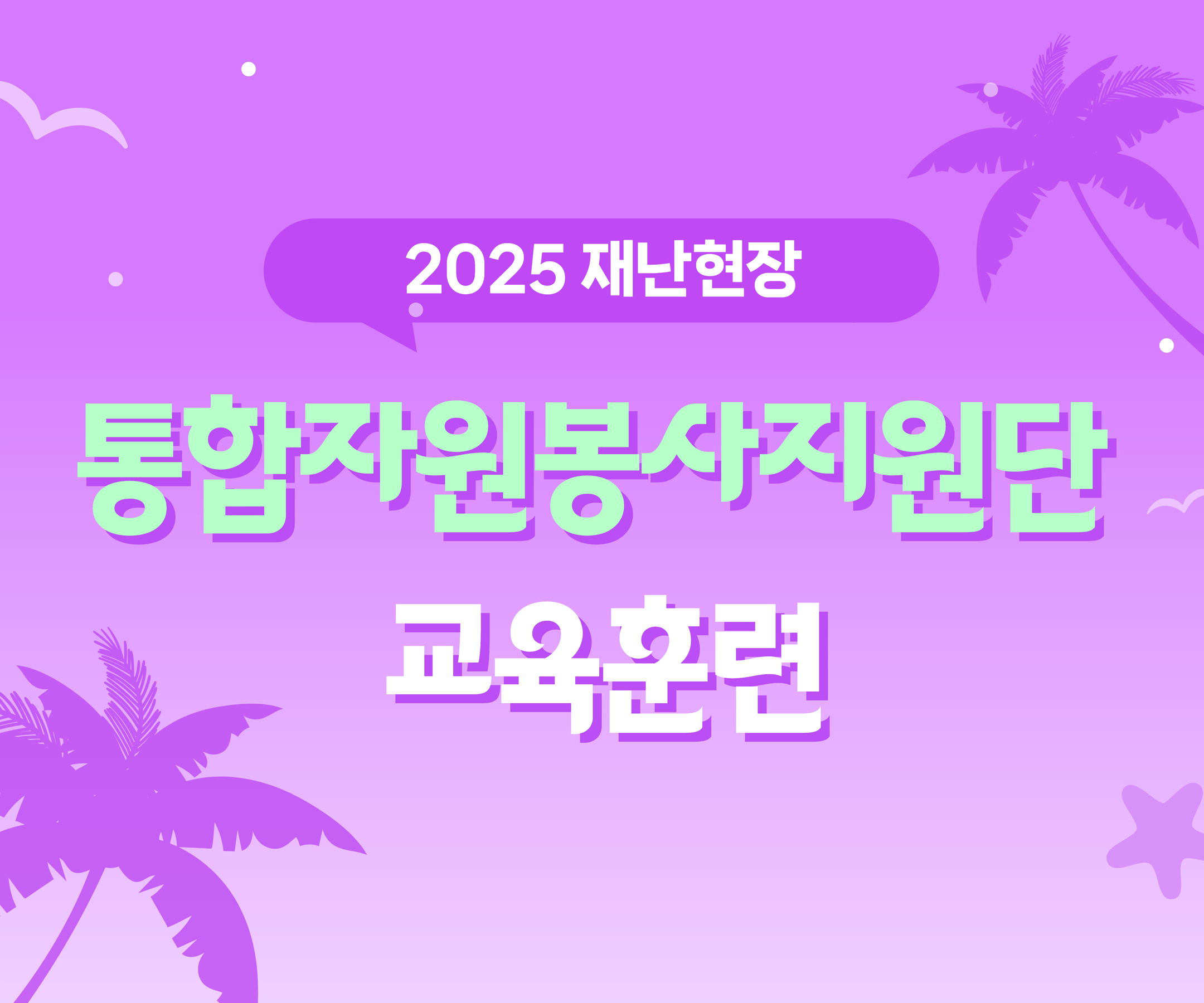 2025 糭 ڿ Ʒ
