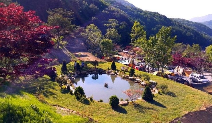 �ź�����ķ��